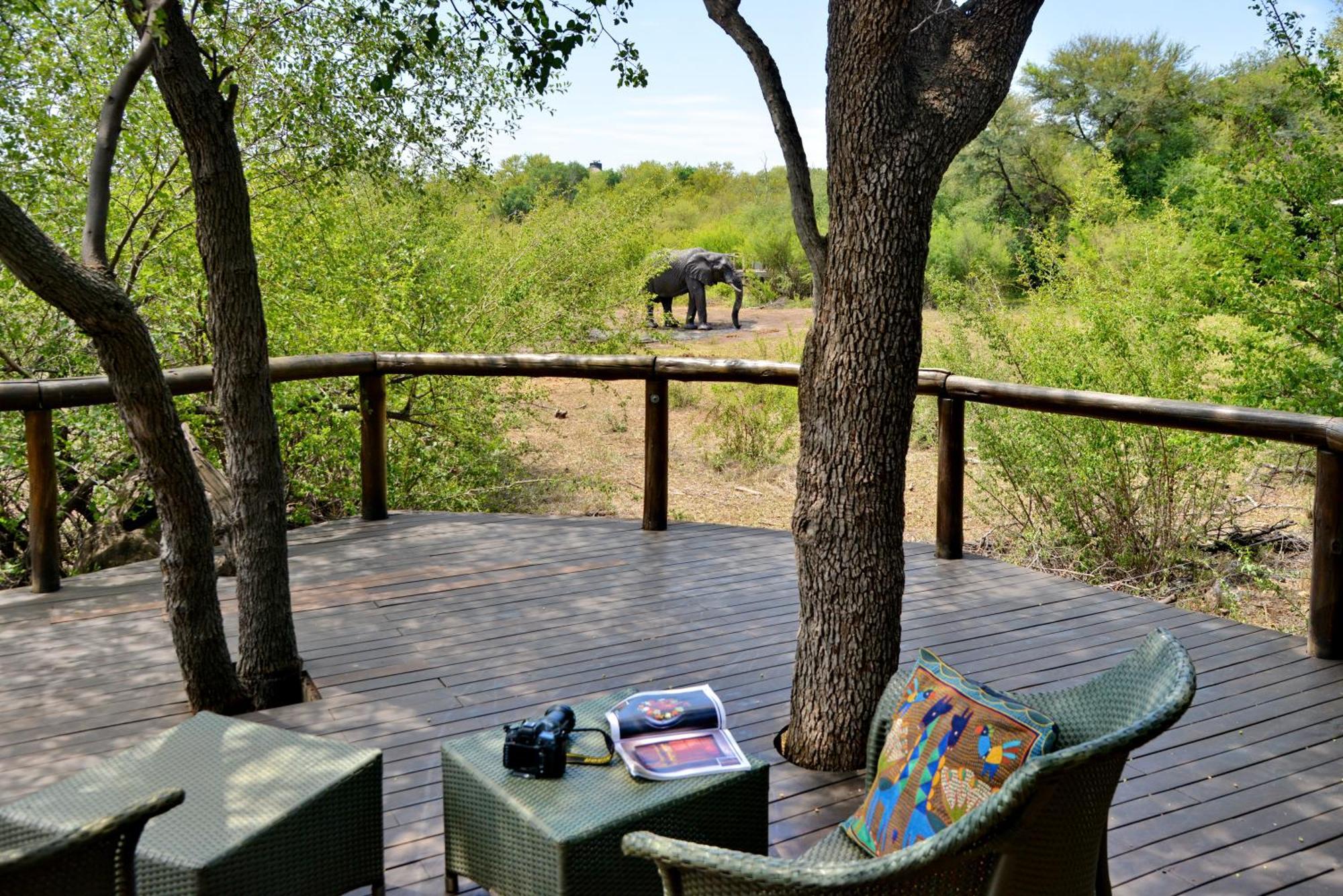 Motswiri Private Safari Lodge Madikwe Game Reserve Exterior foto