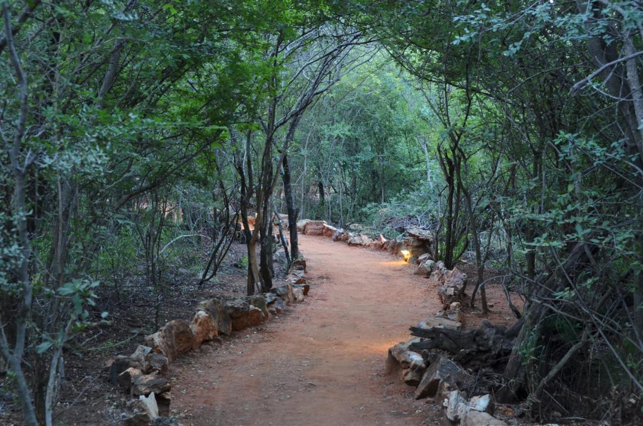 Motswiri Private Safari Lodge Madikwe Game Reserve Exterior foto