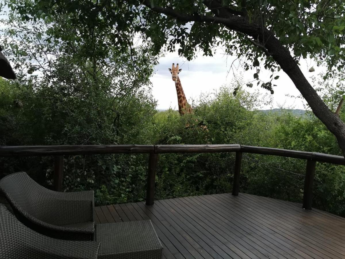 Motswiri Private Safari Lodge Madikwe Game Reserve Exterior foto