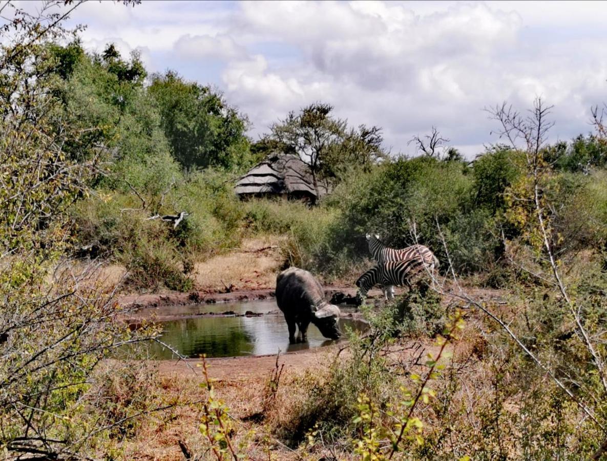 Motswiri Private Safari Lodge Madikwe Game Reserve Exterior foto