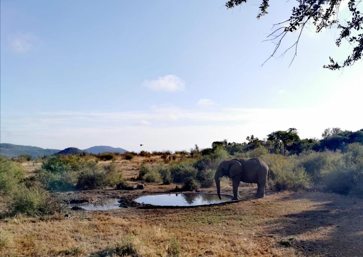 Motswiri Private Safari Lodge Madikwe Game Reserve Exterior foto